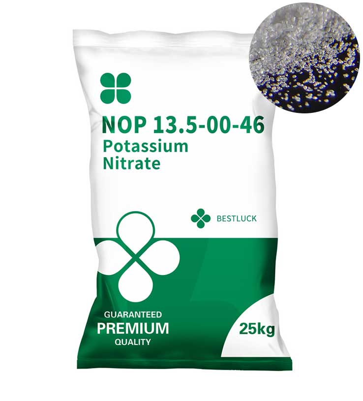 NOP 13.5-00-46