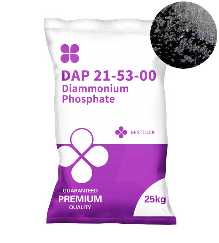 DAP 21-53-00