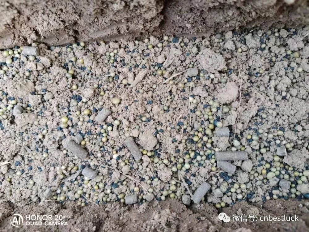 姜农满意，效果杠杠的！