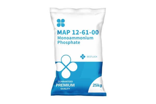 MAP 12-61-00