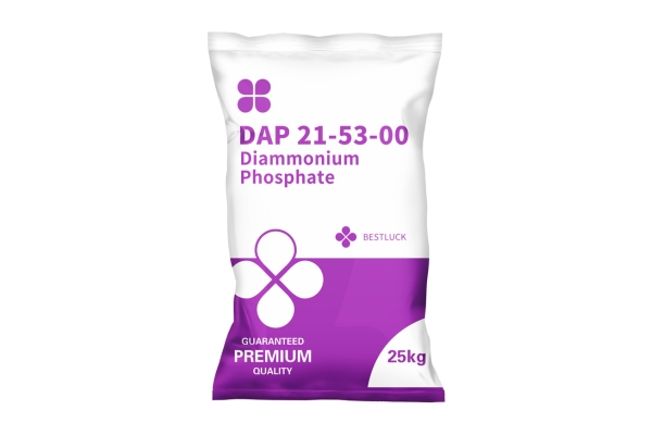 DAP 21-53-00